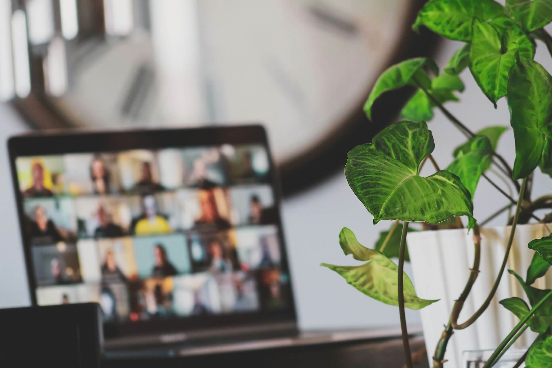 Recursos digitales